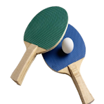 Cover Image of Télécharger Online Ping Pong Pro 1.9 APK