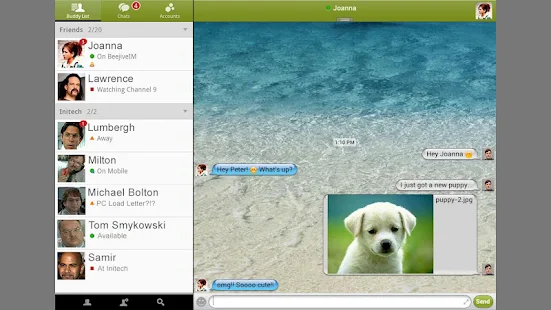 Beejive for Yahoo Messenger - screenshot thumbnail
