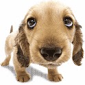 STOP BARKING logo