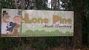 Lone Pine Sanctuary