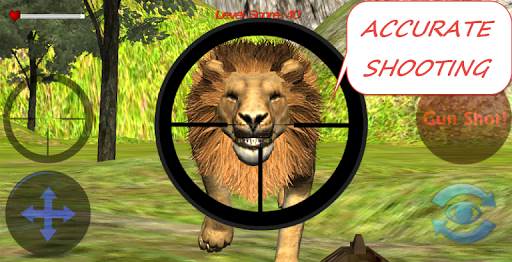 狮子追捕3D Lion Hunt 2015 3d