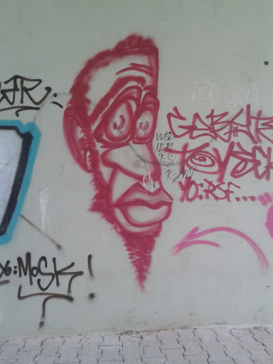 Kopf Street Art