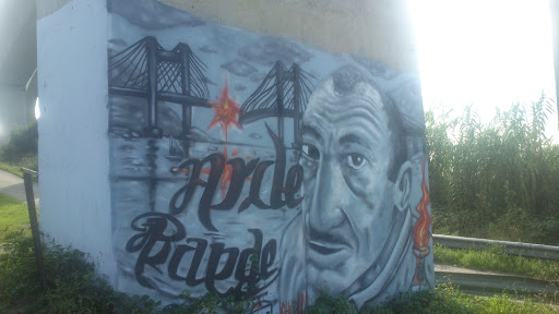 Grafiti Manquiña Arde Rande