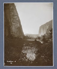 Kloof van Harau op Sumatra met rijstveld