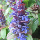 Common self-heal