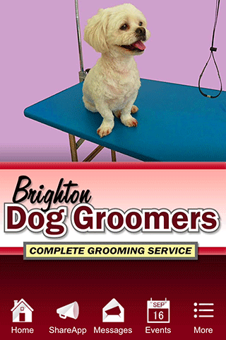 免費下載商業APP|Brighton Dog Groomers app開箱文|APP開箱王