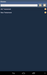 Norwegian Holy Bible poster 11