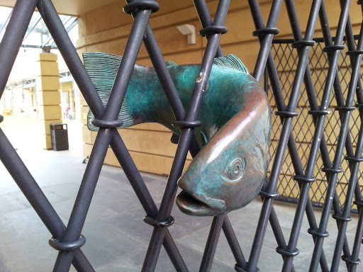Fish Gates