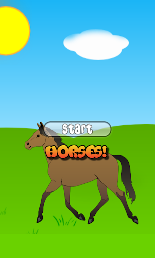Horse Games Free