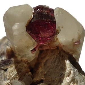 Minerals and precious stones.apk 1.0