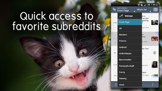 BaconReader Premium for Reddit - screenshot thumbnail
