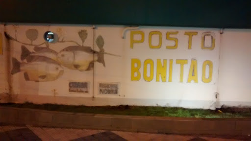 Posto Bonitão
