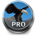 Bird Sounds & Ringtones Pro logo