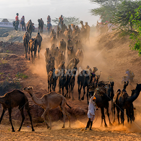 Morning Light by Sampurna Sarkar - People Street & Candids