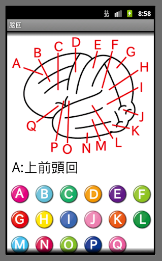 【免費教育App】脳みそを覚えよう！-APP點子