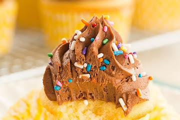 Yellow Cupcakes with Chocolate Frosting