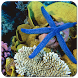 Underwater Wallpapers