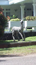 Zebra's About to Cross