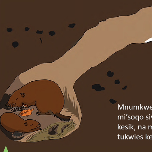 Mnumkwej Na'kwekm