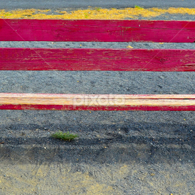 Bench by Julia Arredondo - City,  Street & Park City Parks