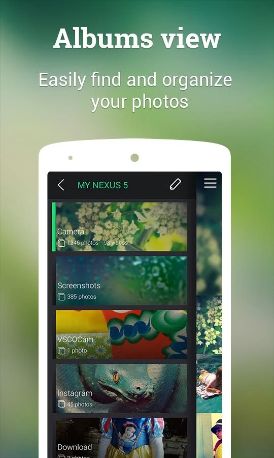 Piktures - Photo Album Gallery - screenshot