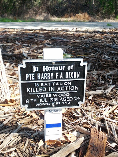 Private Harry F A Dixon