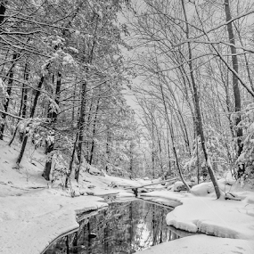 Serenity by Brian Kerr - Black & White Landscapes