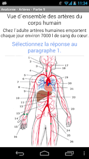 Anatomie - Artères Screen 2