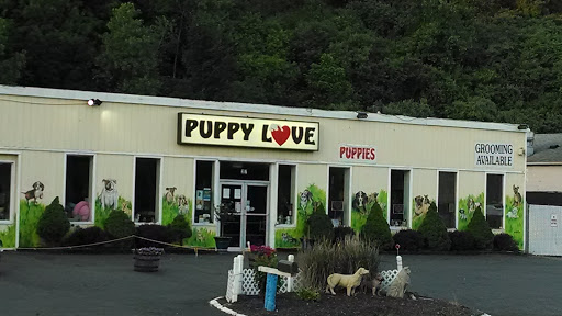 Puppy Love Dog's Murals