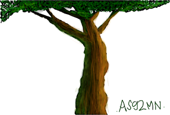 Tree practice