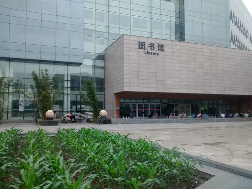 四川农业大学成都校区图书馆