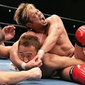 プロレス見放題 logo