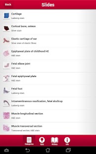 multeBook Histology Screenshots 6