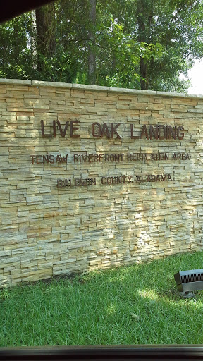 Live Oak Landing