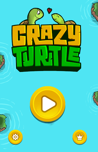 Crazy Turtle