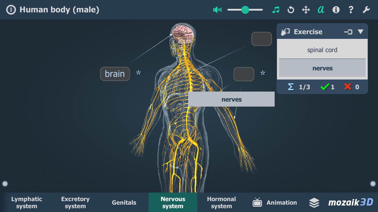 Human body (male) VR 3D - Android Apps on Google Play