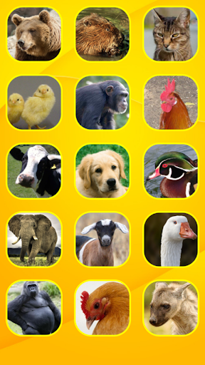 免費下載教育APP|Baby Animal Educational app開箱文|APP開箱王