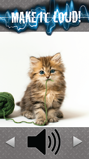 Cat Meow Sounds Screenshots 1