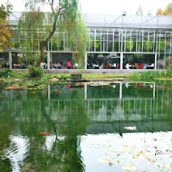 菁芳園 Tenway Garden／花園餐廳／落羽松