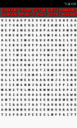 Word Search DANSK poster 5