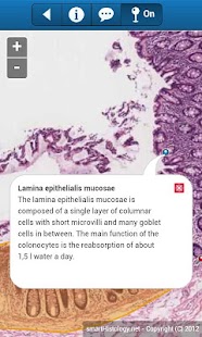 smart Histology Screen 3