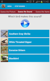 Spanish Birds Sounds Screenshots 20