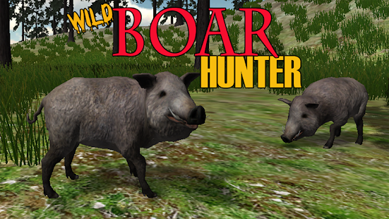 Boar Hunter 2014