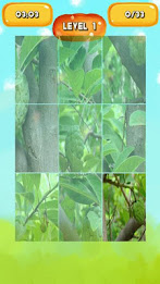 Custard apple Jigsaw Puzzles poster 4