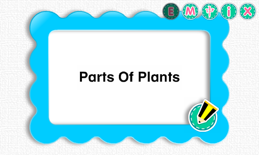 Picture Dictionary - Plants