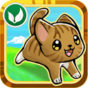 Pet Dash!