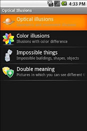 Optical Illusions by Vadimz poster 1