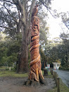 Australiana Tree