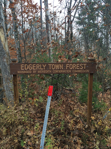 Edgerly Town Forest