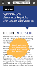 BSFL Students poster 4